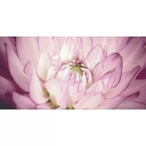 Декор Paradyz Sorenta mocca durst kwiaty В фиолетовый 30x60 см